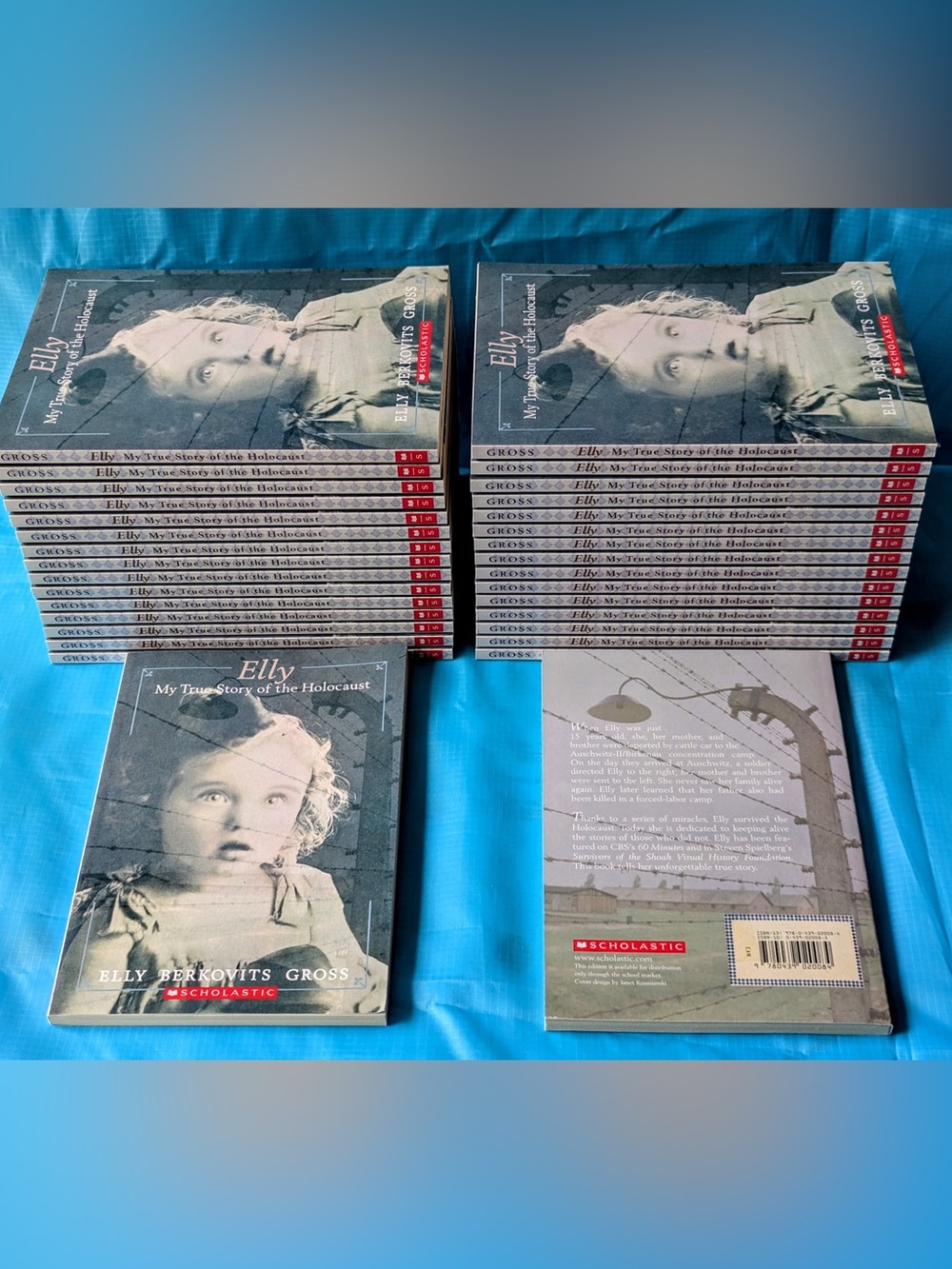 NEW Classroom Set (32 Books) - Elly: My True Story of the Holocaust